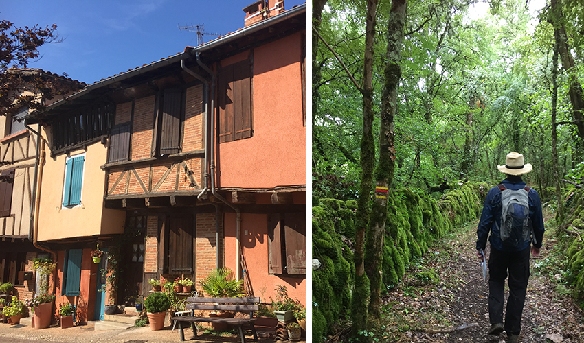 Albi on a walking holiday in France, Walkers' Britain